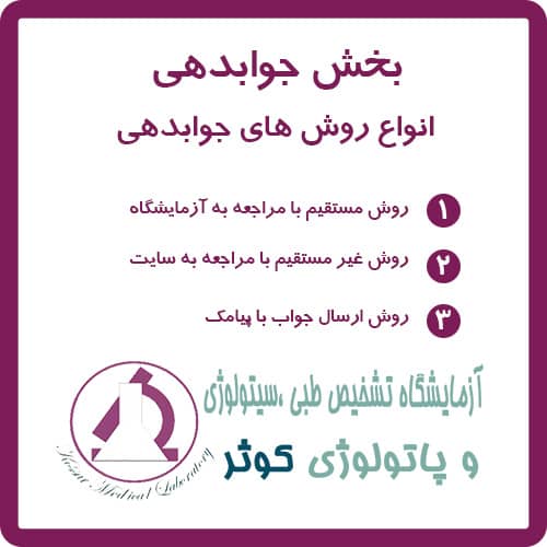 جوابدهی 