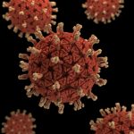 آزمایش تشخیص عفونت‌های ویروسی شایع: EBV، CMV، HPV و HSV